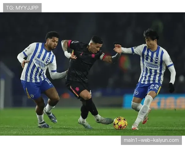 布莱顿三笘薰齐马斯韦伯斯特长期伤停海鸥阵容深度受考验